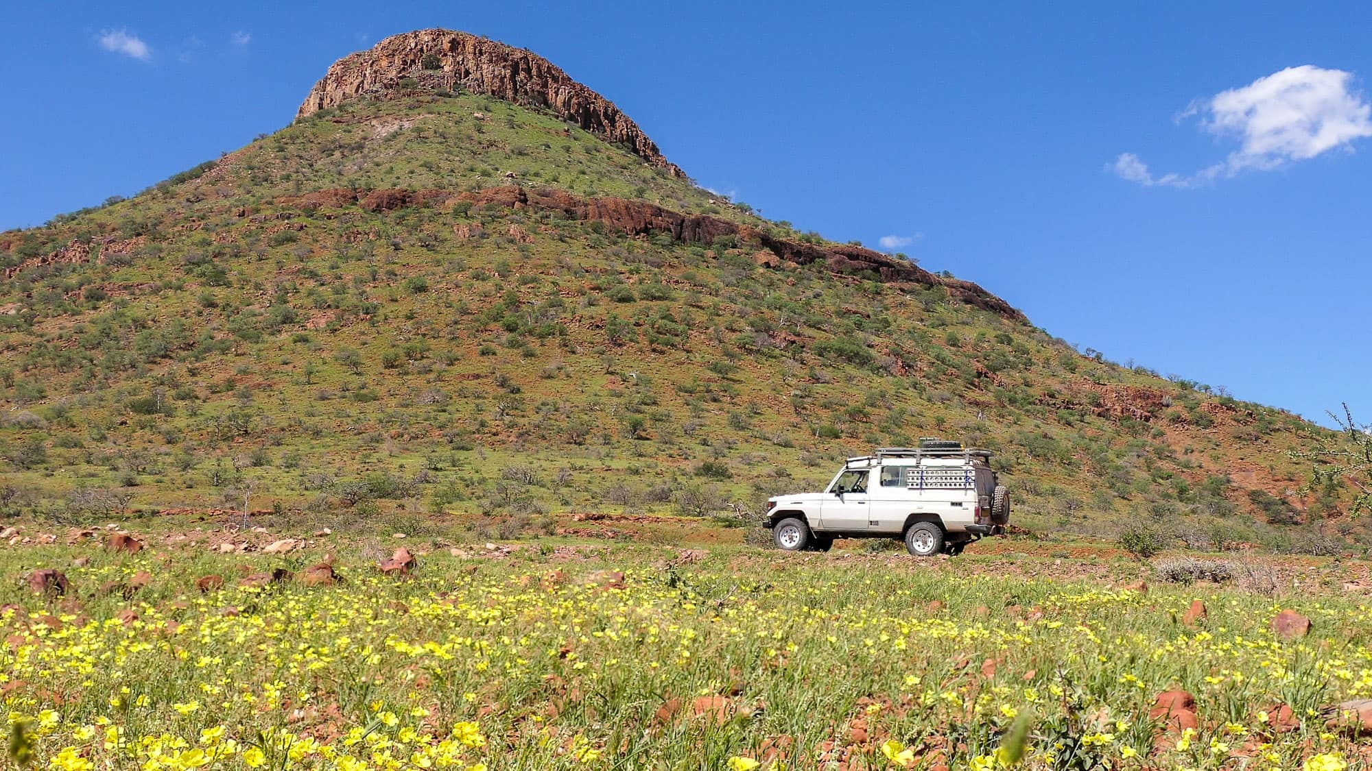 Nach dem Regen zeigt sich Namibia von einer ganz anderen Seite: Am Grootberg-Pass leuchten gelbe Blüten zwischen frischem Grün und roten Felsen.