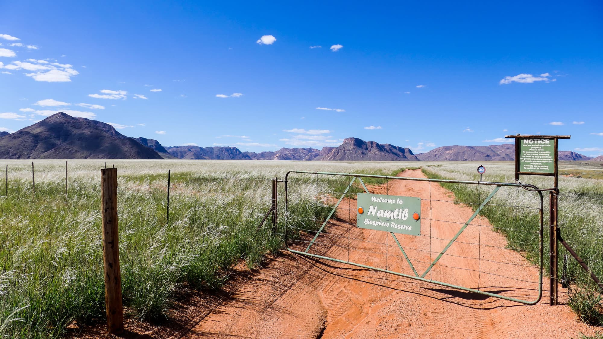 Nach einer außergewöhnlich guten Regenzeit verwandelt sich der Süden Namibias in ein grünes Grasmeer - ein seltener Anblick am Namib Biosphere Reserve.