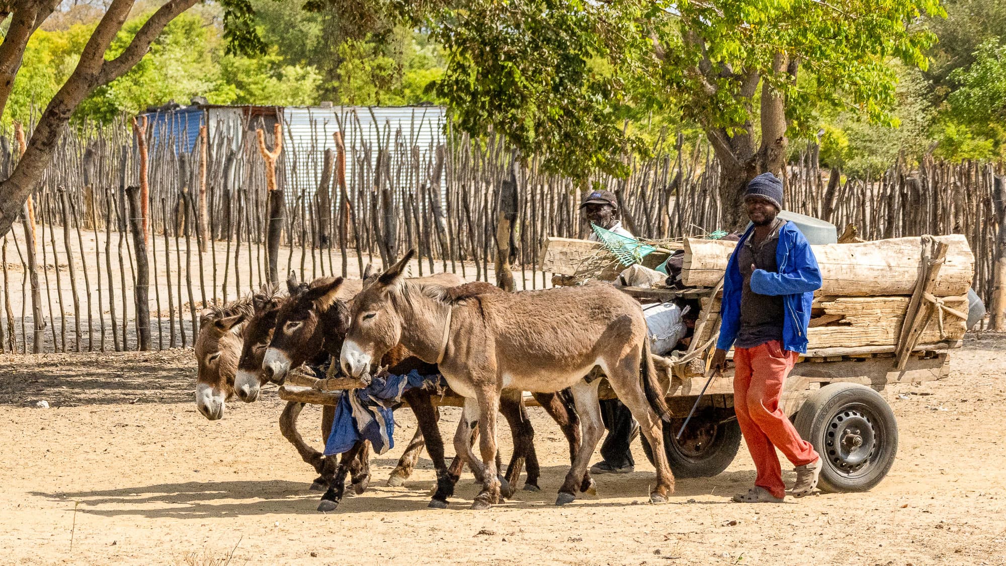 Ein Eselskarren rollt über eine sandige Straße bei Rundu - eine alltägliche Szene aus Namibias grünem Nordosten.