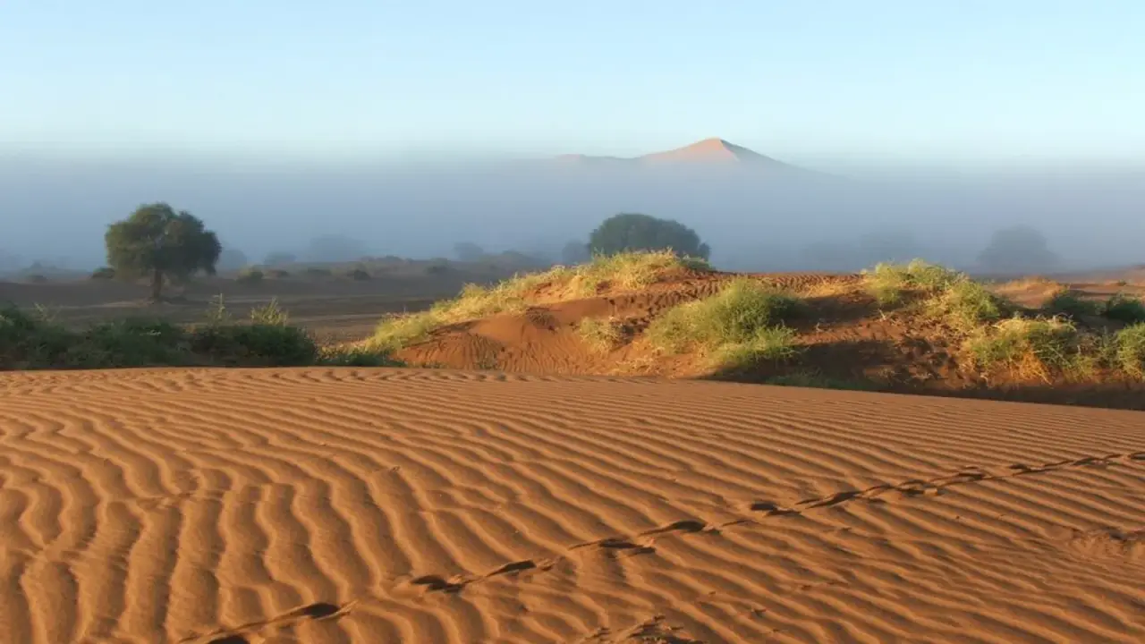 Titelbild von BikeAfrica