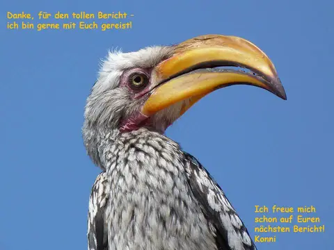 Danke.jpg