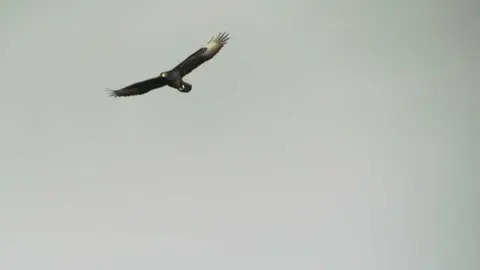IMG_2045.JPG