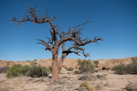 DSCF0219.jpg