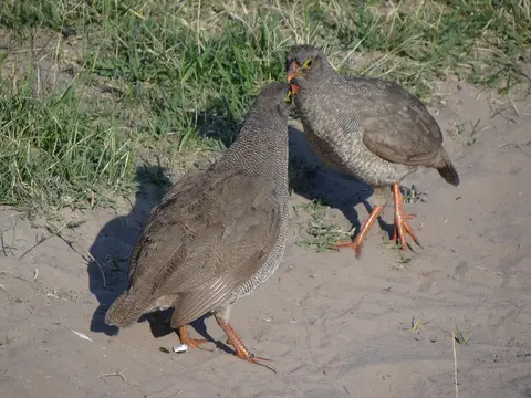 DSC02172.JPG