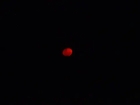 DSC07871.JPG