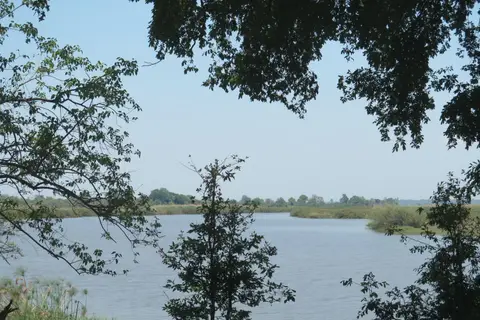 IMG_7410.JPG