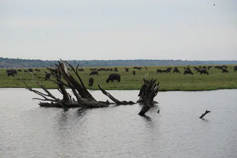 IMG_7599.JPG