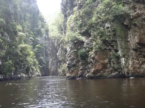 DSC08971.JPG