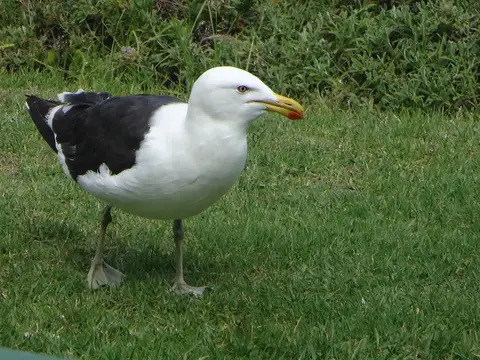 DSC09004.JPG