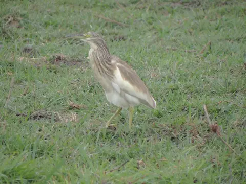 DSC03089.JPG