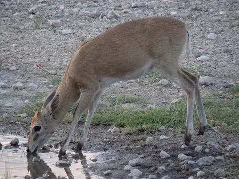 DSC03950.JPG