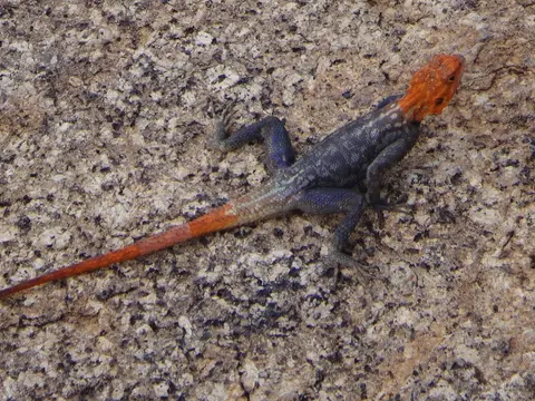 DSC08557.JPG