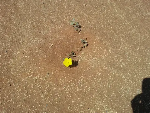 Namibia(20).JPG
