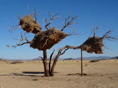 Namibia(28).JPG