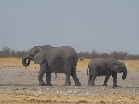 PA083648.JPG