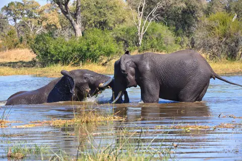 Botswana_Khwai_003.jpg