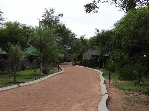DSC07935.JPG