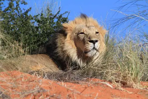 02150-LweKalahari.jpg