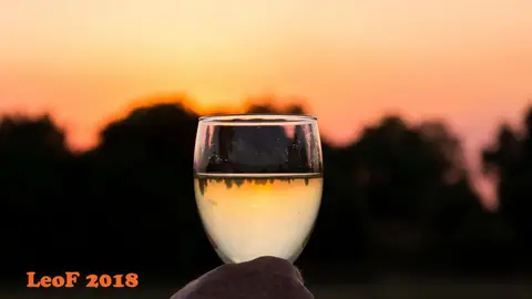 2017_SA1806_15630_710_6485_16.jpg