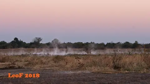 2302_SA1806_16630_710_6563_16.jpg