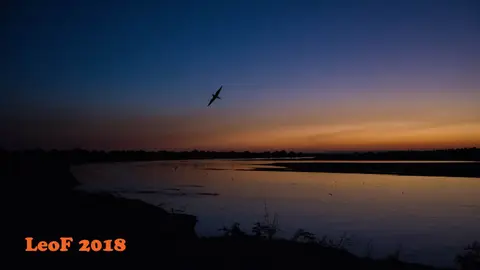 2420_SA1806_17464_710_6666_16.jpg