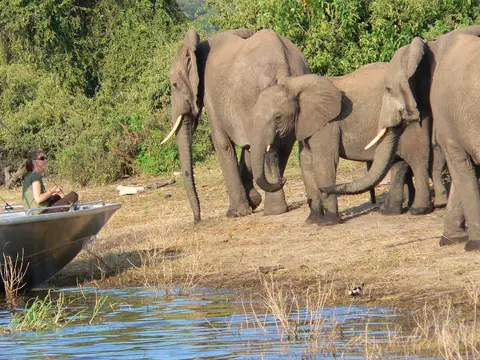 Chobe1.jpg