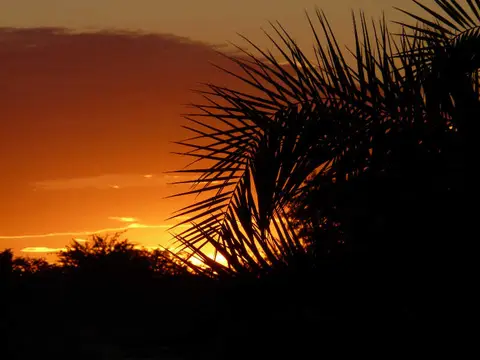 SA_09_10831_14.jpg