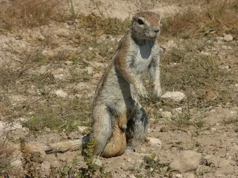 SA_09_10833_68b.jpg