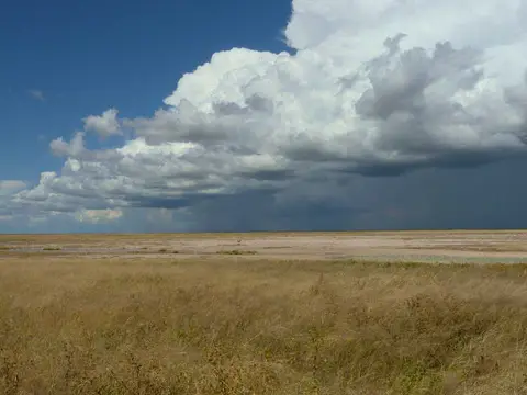 SA_09_10835_49.jpg