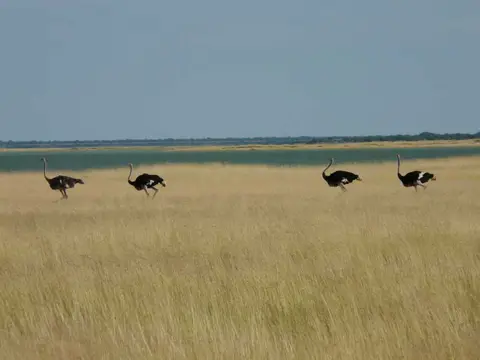 SA_09_10840_48.jpg