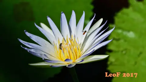 _SA1704_16200_fo.JPG