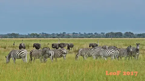 _SA1704_24080_fo.JPG