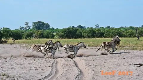 _SA1704_26400_fo.JPG