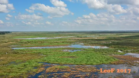 _SA1704_28880_710_3363.JPG