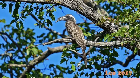 _SA1704_30360_720_5306.JPG