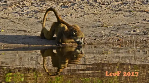 _SA1704_33790_720_5716.JPG