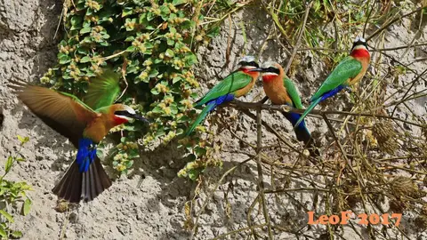 _SA1704_36700_720_6274.JPG