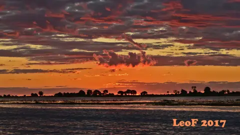 _SA1704_37540_720_6424.JPG