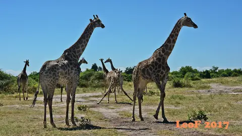 _SA1704_41700_710_3856.JPG