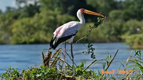 _SA1704_41940_720_7051.JPG