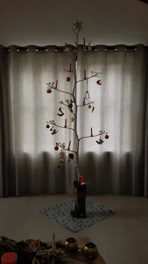IMG_20181224_104425.jpg