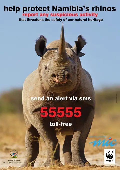 rhino.jpg