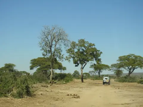 DSCN1298.jpg