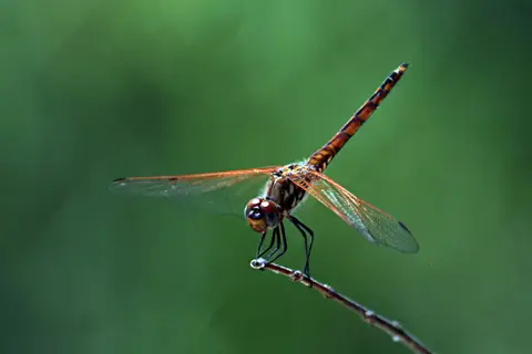 IMG_8609Forum.JPG