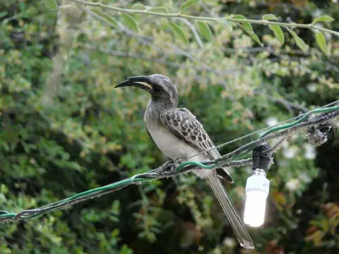 Botswana2011767.JPG