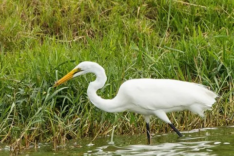 h47f7c14.jpg