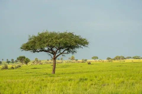 h65d9667.jpg