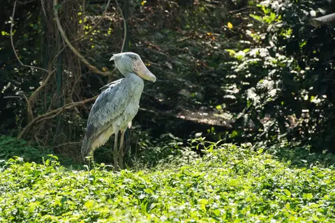 hc8bdb91.jpg