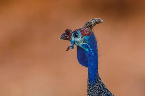 Nam18-2424.jpg