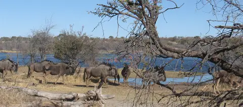 Makgadikgadi1508.jpg